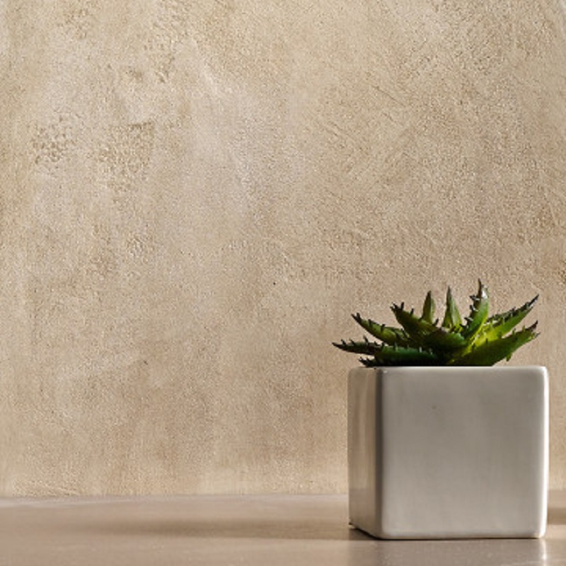 acquadivetro amorsa, grund, sigilant, exterior, planta, vaza, cactus, perete, bej, efect decorativ, podea, umbra, finisaj