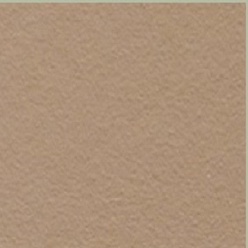 celestia-finish vopsea lavabila, celestia finish, efect soft touch, lavabila interior, textura piele, maro, nuanta pamantie, finisaj mat