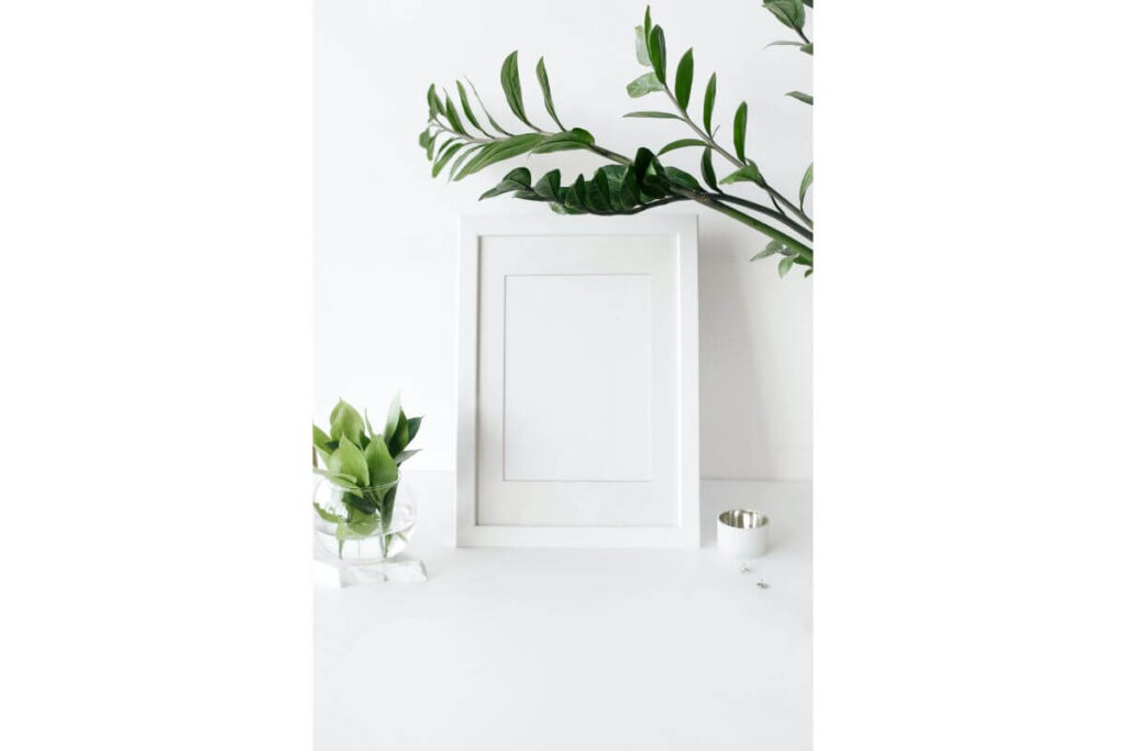 plante verzi